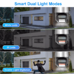 Camera de Supraveghere Profesionala WIFi, TSS-P10-4W Full HD, 2 Lentile 4MP, Zoom digital 8X, Night Vision, Audio-Video ,Detectia Miscarii, Slot card - imagine 6