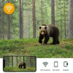 Camera de vanatoare WIFI, TSS-801B-W, Foto 24MP, cu Ecran 2.4'', 5MP 1080P,  Video si Audio, IR 20m, cu Stocare pe SD Card si Aplicatie Mobila - imagine 2